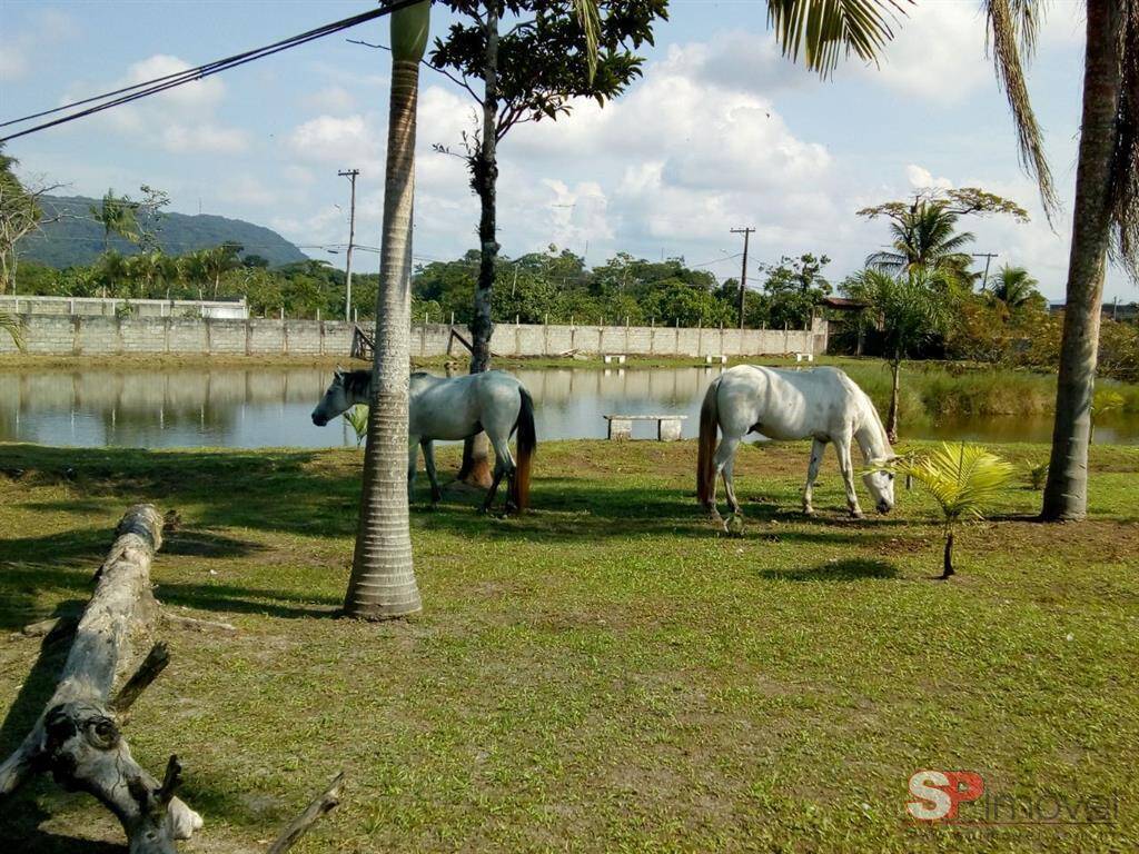 Sítio à venda com 3 quartos - Foto 8