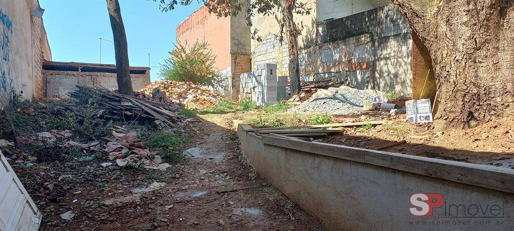 Sala-Conjunto, 540 m² - Foto 4