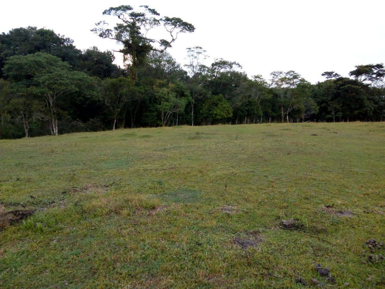 Sítio à venda com 3 quartos, 22450m² - Foto 16