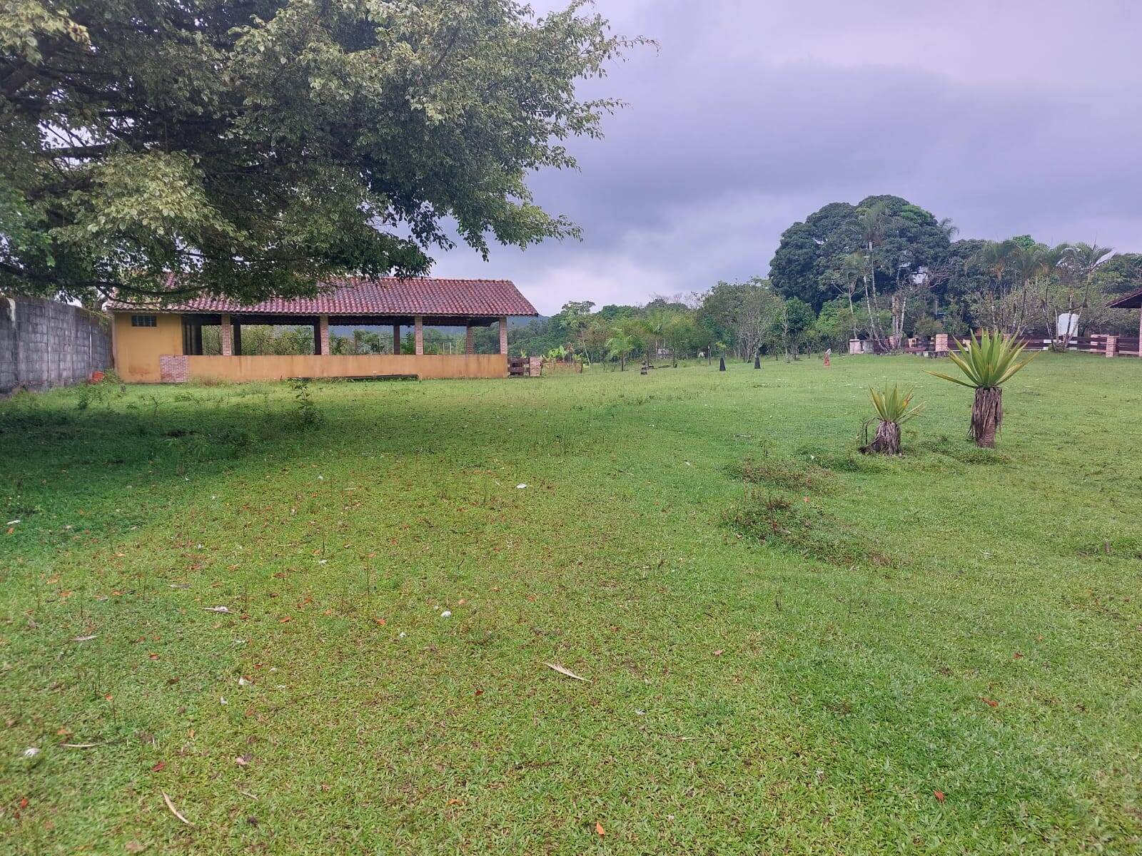 Sítio à venda com 3 quartos, 22450m² - Foto 30